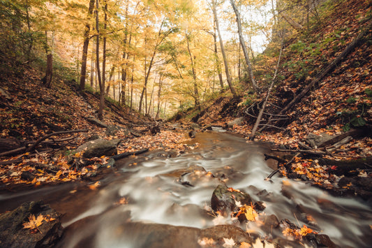 Close to Nature - Gentle River Stream